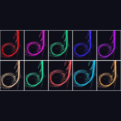 Space LED Whip