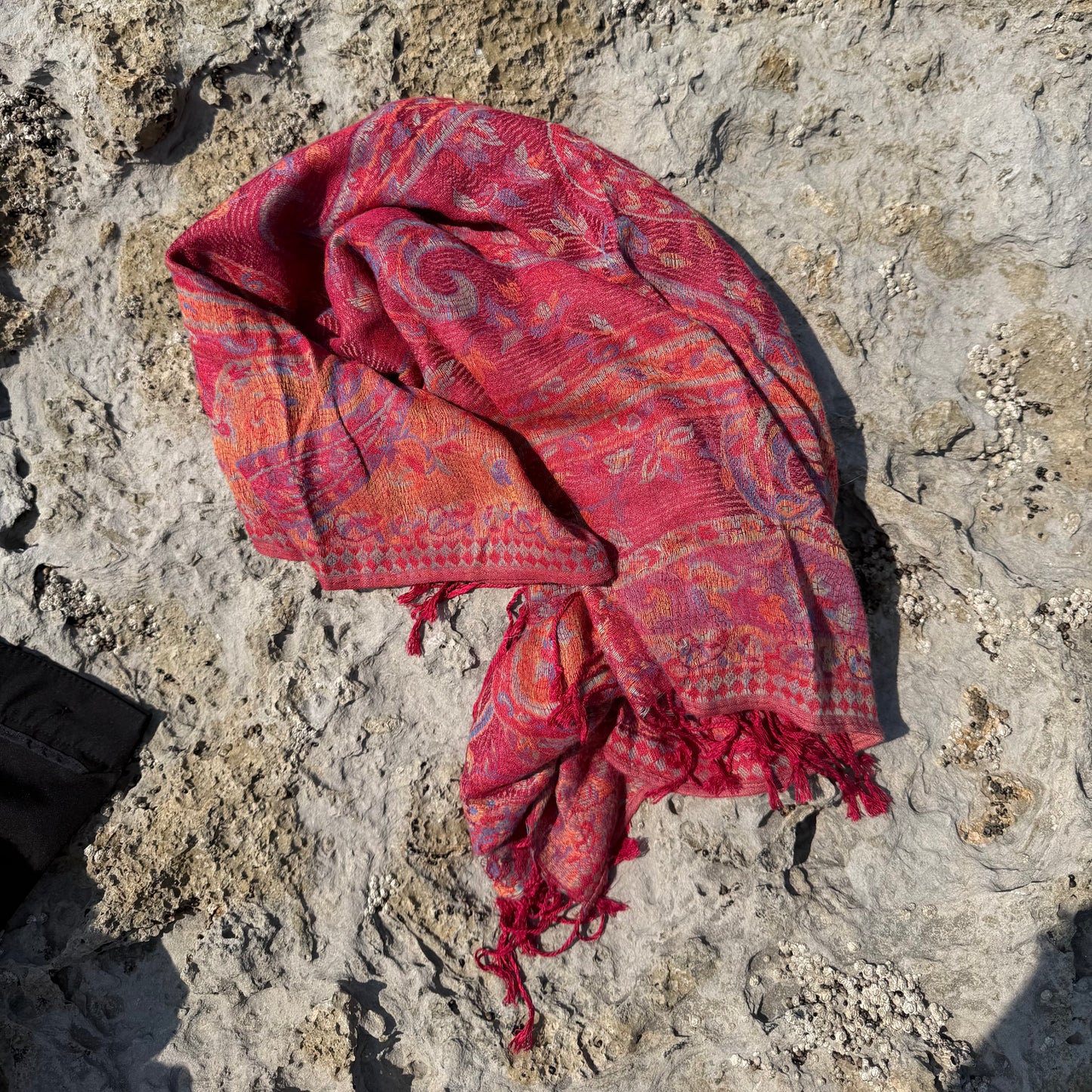 Awaken Pashmina