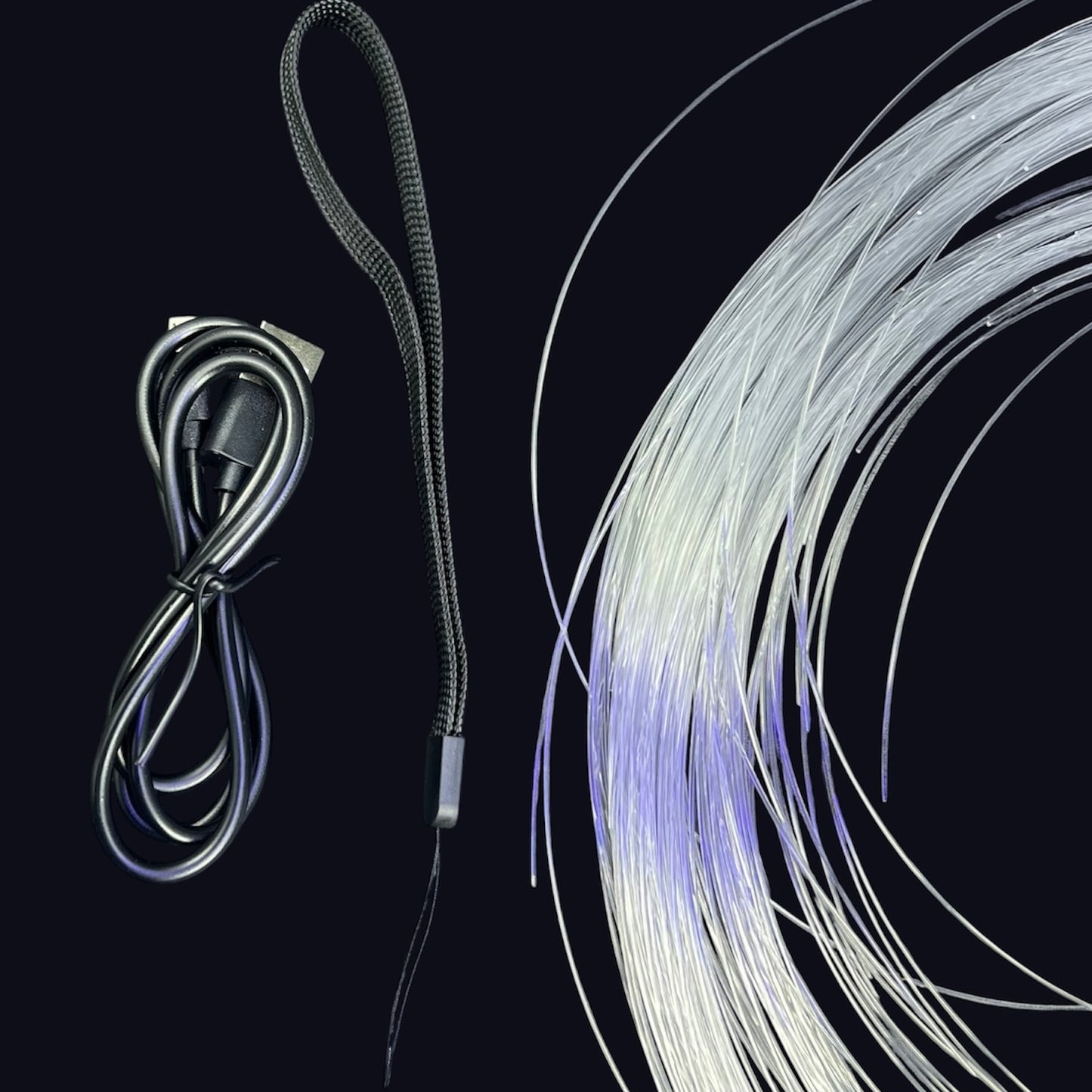 Space LED Whip